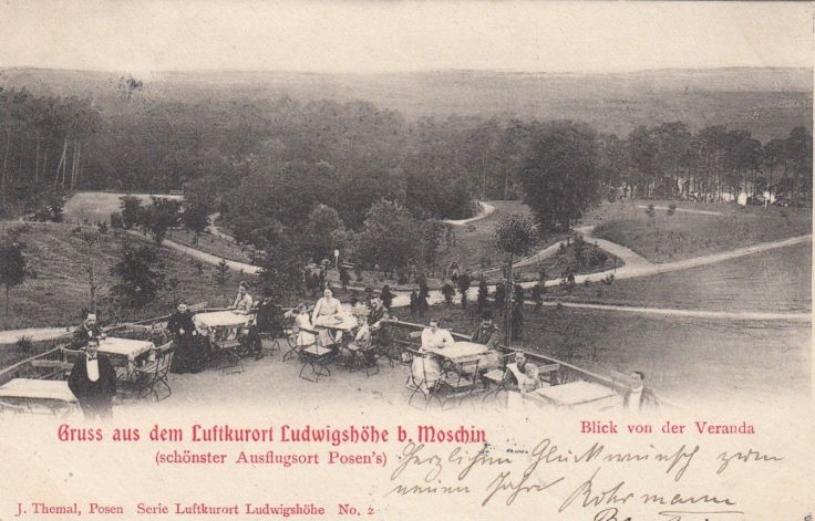 gruss-aus-dem-luftkurort-ludwigshohe-moschin-ak-1903